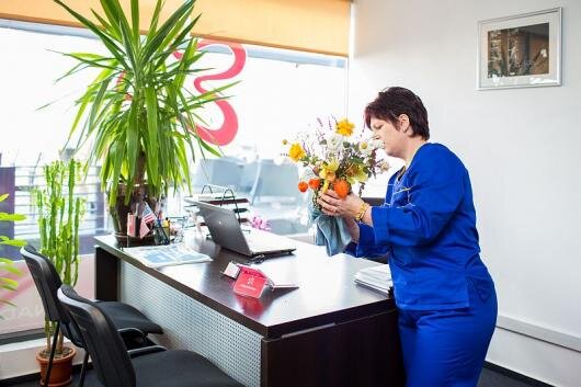 Deep Serv - servicii de curatenie, Bucuresti
